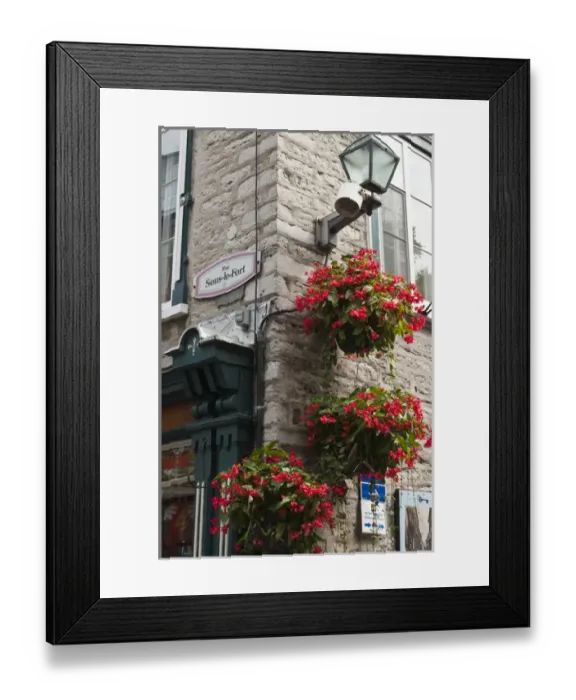 Framed Print : Quebec City, Quebec, Canada. Floral decorations in Old CIty Framed Print : Quebec City, Quebec, Canada. Floral decorations in Old CIty