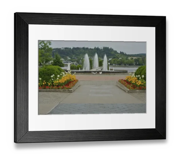 Framed Print : North America, Canada, Quebec, Saguenay, Ville de Saguenay, Chicoutimi. Flowers Framed Print : North America, Canada, Quebec, Saguenay, Ville de Saguenay, Chicoutimi. Flowers