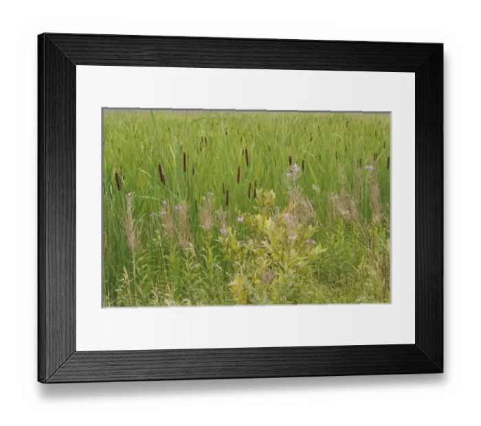 Framed Print : North America, Canada, Quebec, Saguenay, Saint-Fulgence. Grasses and flowers next