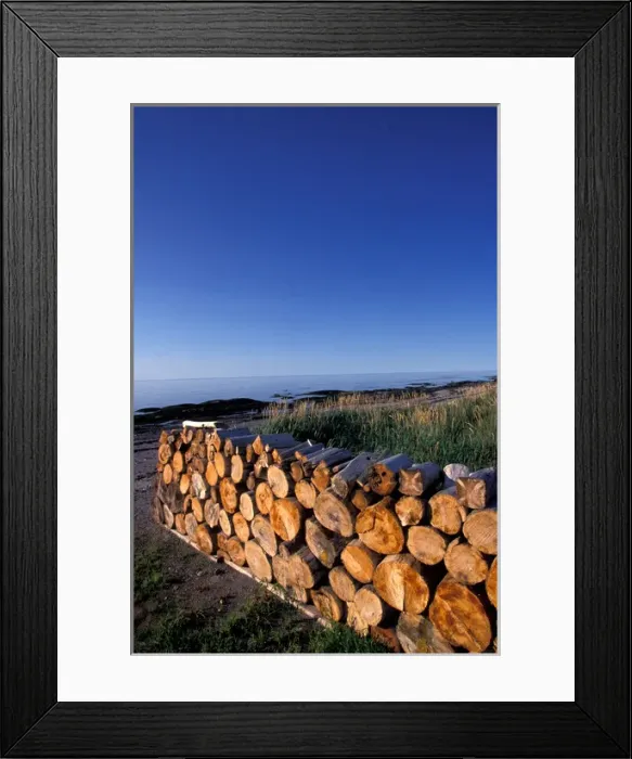 Framed Print : Canada, Quebec, Gaspe. Cut Firewood, Sainte Flavie Framed Print : Canada, Quebec, Gaspe. Cut Firewood, Sainte Flavie