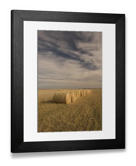 Framed Print : 02. Canada, Saskatchewan, Craik: Hayrolls / Autumn and Prairie Landscape Framed Print : 02. Canada, Saskatchewan, Craik: Hayrolls / Autumn and Prairie Landscape