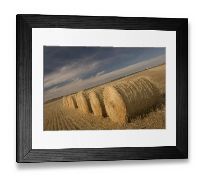 Framed Print : 02. Canada, Saskatchewan, Craik: Hayrolls  /  Autumn and Prairie Landscape