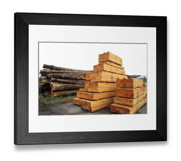 Framed Print : Lumber forestry industry at sawhill pulp plant in Quesnel British Columbia Canada Framed Print : Lumber forestry industry at sawhill pulp plant in Quesnel British Columbia Canada
