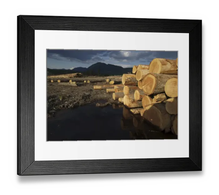 Framed Print : Canada: Canal Flats, Tembec Lumber Mill Framed Print : Canada: Canal Flats, Tembec Lumber Mill