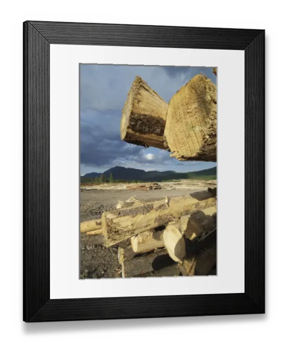 Framed Print : Canada: Canal Flats, Tembec Lumber Mill Framed Print : Canada: Canal Flats, Tembec Lumber Mill