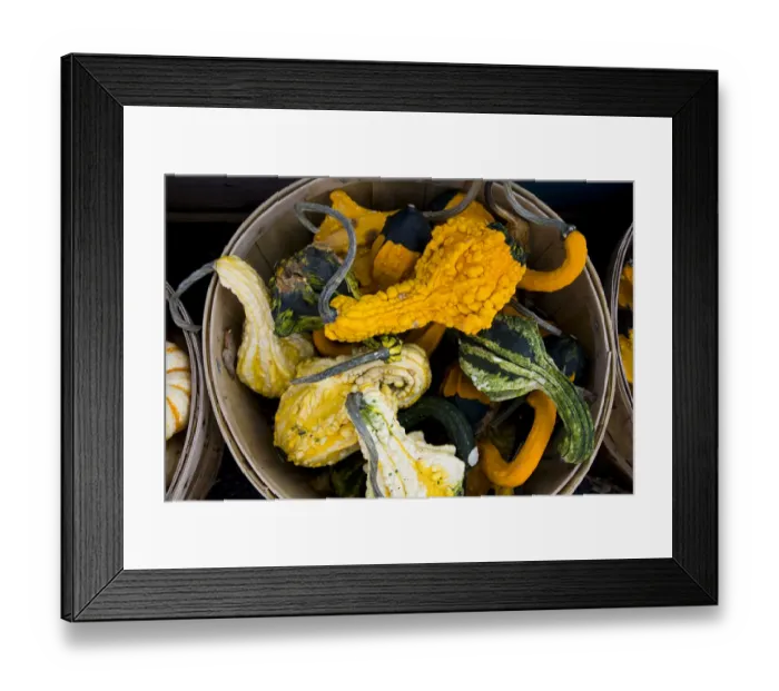 Framed Print : Squash at market Montreal, Quebec Framed Print : Squash at market Montreal, Quebec