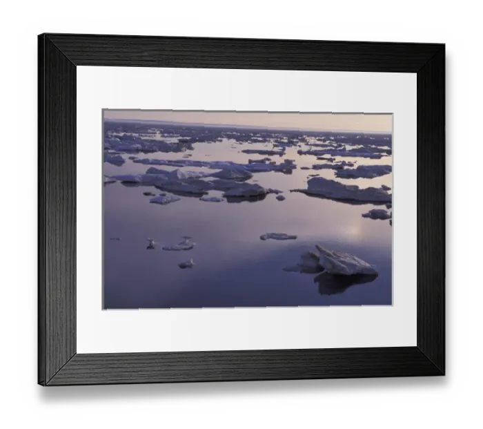 Framed Print : NA, Canada, Canadian Arctic, Baffin Island 2nd year ice melting (global warming) Framed Print : NA, Canada, Canadian Arctic, Baffin Island 2nd year ice melting (global warming)