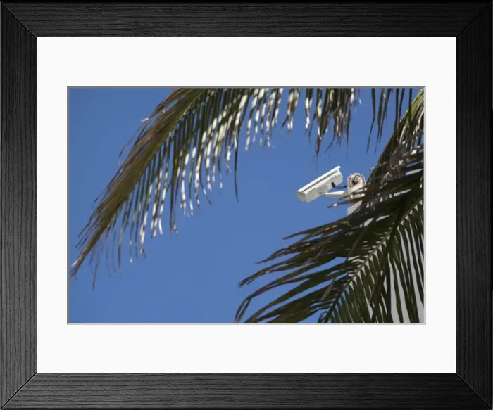 Framed Print : Security camera on rooftop with palm fronds in foreground Framed Print : Security camera on rooftop with palm fronds in foreground