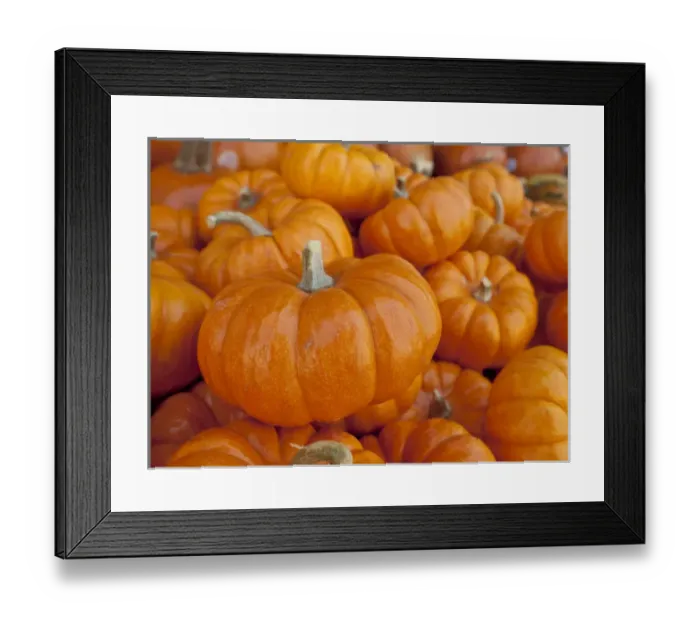 Framed Print : Mini pumpkins at fruit stand, Los Angeles, CA