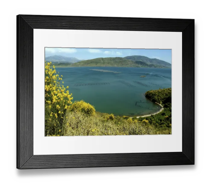 Framed Print : Albania, Butrint, Butrint National park, Butrint lake Framed Print : Albania, Butrint, Butrint National park, Butrint lake