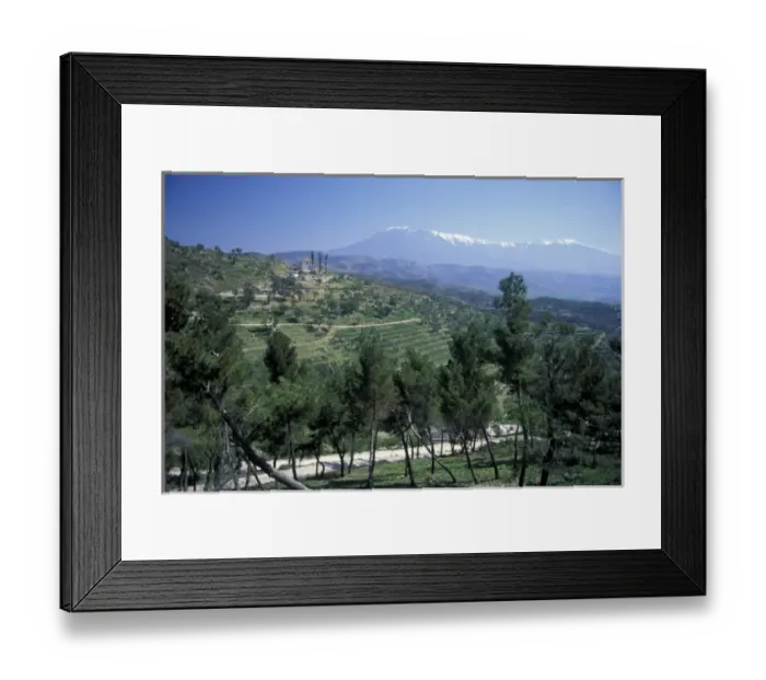 Framed Print : Europe, Albania, Berat. Hills surrounding Berat, with countryside, olive and cypress trees Framed Print : Europe, Albania, Berat. Hills surrounding Berat, with countryside, olive and cypress trees