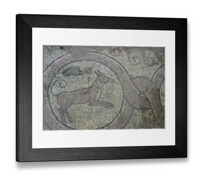 Framed Print : Europe, Albania, Butrint. Mosaics in the Thermae, 6th century BC. Greek and Roman
