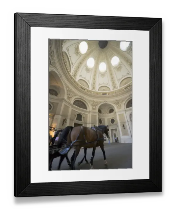 Framed Print : Carriage horses (Fiaker) inside Michaelertor of Hofburg Imperial Palace, Vienna, Austria Framed Print : Carriage horses (Fiaker) inside Michaelertor of Hofburg Imperial Palace, Vienna, Austria
