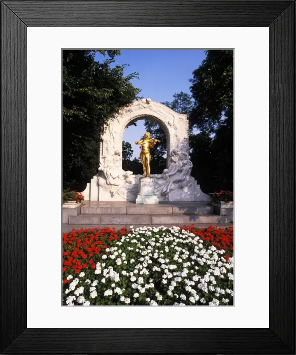 Framed Print : Monument of Johann Strauss in Vienna, Austria