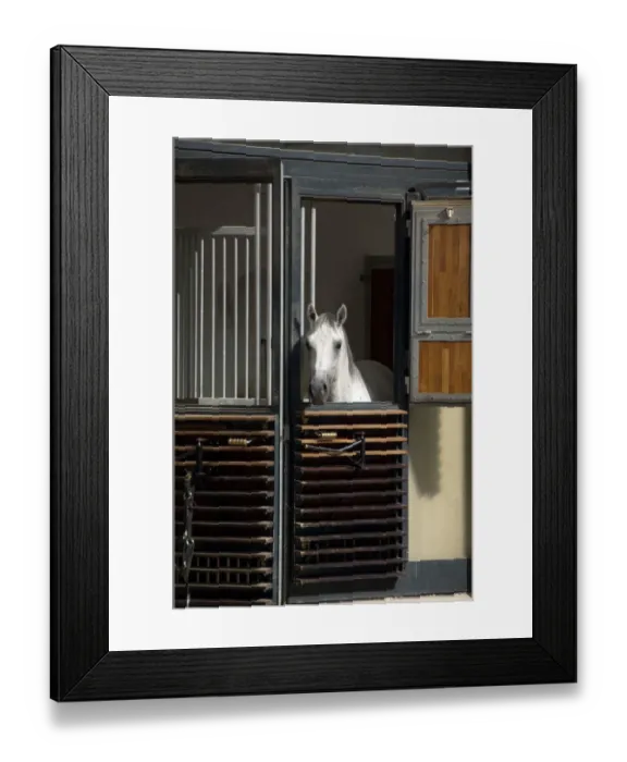 Framed Print : Austria, Vienna. World Famous Spanish Riding School, home to the Lippizaner horses Framed Print : Austria, Vienna. World Famous Spanish Riding School, home to the Lippizaner horses