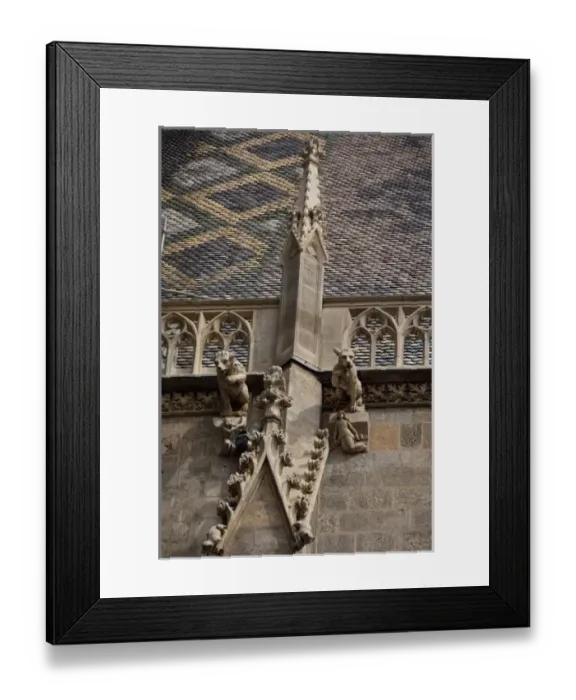 Framed Print : Austria, Vienna. Historic downtown, St. Stephans Cathedral (aka Stephansdom) Framed Print : Austria, Vienna. Historic downtown, St. Stephans Cathedral (aka Stephansdom)