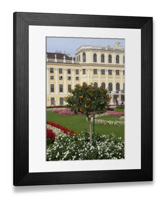 Framed Print : Austria, Vienna. Maria Theresas Baroque / Rococo Schonbrunn Palace (aka Schlob Schonbrunn) Framed Print : Austria, Vienna. Maria Theresas Baroque / Rococo Schonbrunn Palace (aka Schlob Schonbrunn)