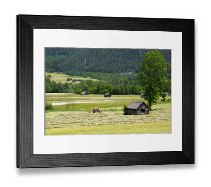 Framed Print : A tractor harvesting a hay field on a farm at Imst, Austria. austria, austrain Framed Print : A tractor harvesting a hay field on a farm at Imst, Austria. austria, austrain