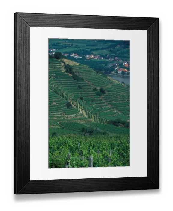 Framed Print : Europe, Austria, Wachau Region, Melk and surrounding vineyards Framed Print : Europe, Austria, Wachau Region, Melk and surrounding vineyards