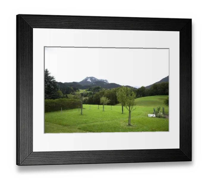 Framed Print : Bad Aussee, Styria, Austria - A path is cut into the grass leading to a garden. In Framed Print : Bad Aussee, Styria, Austria - A path is cut into the grass leading to a garden. In