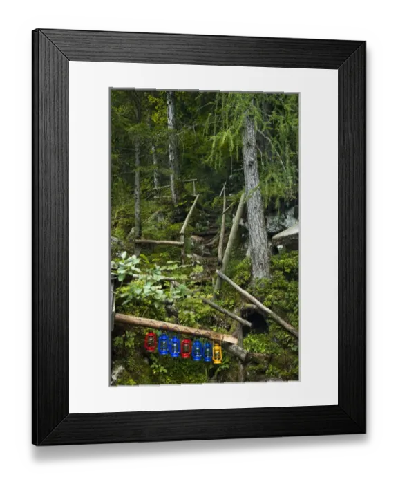Framed Print : Bad Aussee, Styria, Austria - Red, yellow and blue lanterns are hanging on a wooden Framed Print : Bad Aussee, Styria, Austria - Red, yellow and blue lanterns are hanging on a wooden