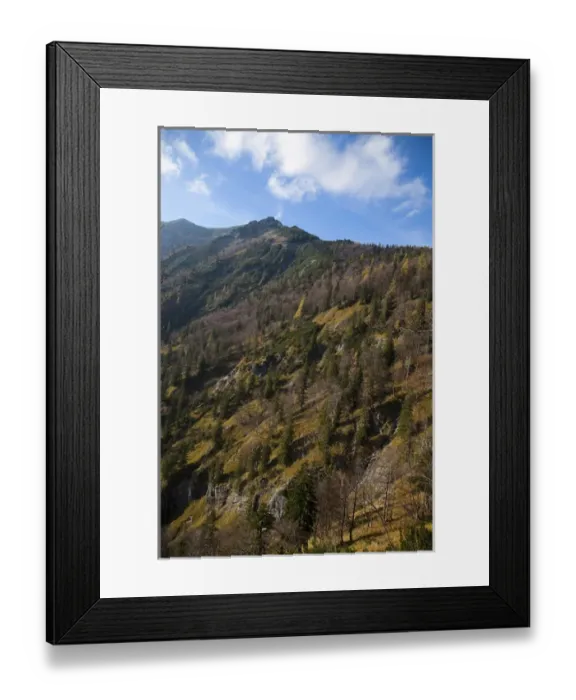 Framed Print : Upper Austria, Austria - Tree covered mountainside. Vertical shot