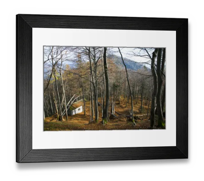 Framed Print : Upper Austria, Austria - High angle view of a wooded hillside. A small, rustic building Framed Print : Upper Austria, Austria - High angle view of a wooded hillside. A small, rustic building