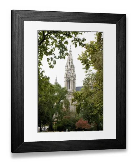 Framed Print : Vienna, Austria - Low angle view of an ornate, old world church. Trees are framing