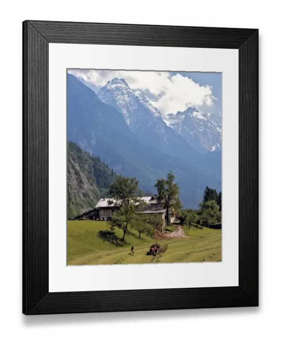 Framed Print : Europe, Austria, Inn River Valley. The Tuxer Alps look down on this haying scene