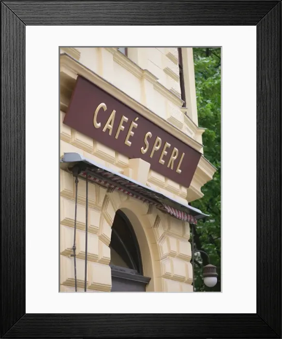 Framed Print : AUSTRIA-Vienna: Cafe Sperl - Vienese Cafe (and favorite cafe of young Adolf Hitler) Framed Print : AUSTRIA-Vienna: Cafe Sperl - Vienese Cafe (and favorite cafe of young Adolf Hitler)