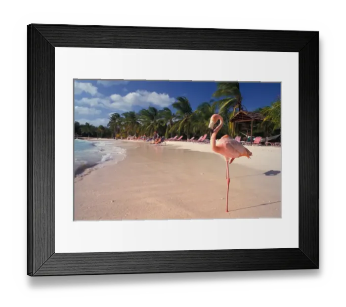 Framed Print : Caribbean, Aruba, Sonesta Island Framed Print : Caribbean, Aruba, Sonesta Island