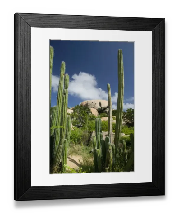 Framed Print : ABC Islands - ARUBA - Paradera: View of Ayo Rock Formation