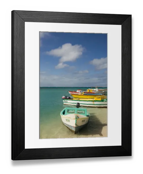 Framed Print : ABC Islands - ARUBA - Oranjestad: Wilhelmina Park - Colorful Aruban Boats Framed Print : ABC Islands - ARUBA - Oranjestad: Wilhelmina Park - Colorful Aruban Boats