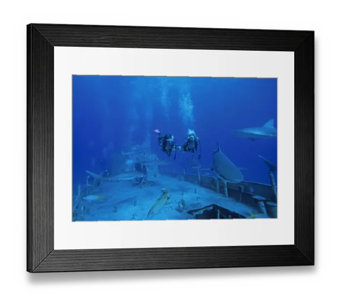 Framed Print : 01. Caribbean, Bahamas, Divers explore shipwreck Framed Print : 01. Caribbean, Bahamas, Divers explore shipwreck