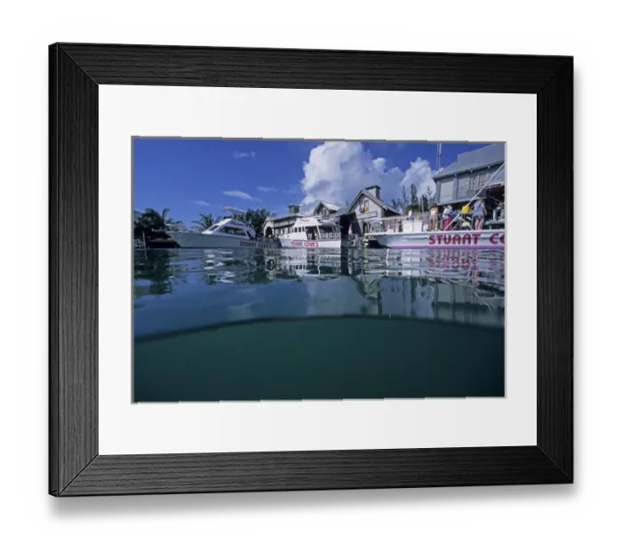 Framed Print : 01. Caribbean, Bahamas. Dock at Stuart Cove s Framed Print : 01. Caribbean, Bahamas. Dock at Stuart Cove s