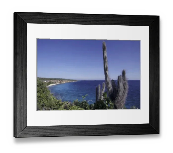 Framed Print : CARIBBEAN, Bahamas Coastal scene with cactus Framed Print : CARIBBEAN, Bahamas Coastal scene with cactus