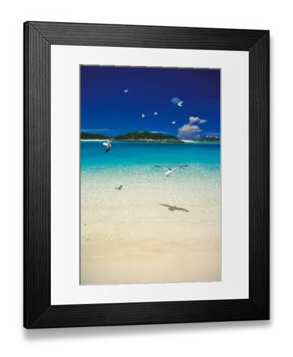 Framed Print : Pristine beach, Exuma Islands, Bahamas Framed Print : Pristine beach, Exuma Islands, Bahamas