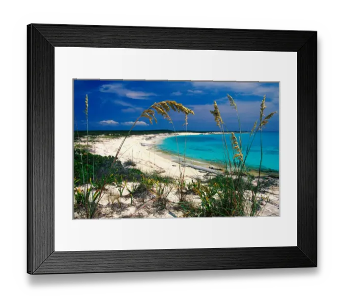 Framed Print : Sea oats on pristine beach, Long Island, Bahamas Framed Print : Sea oats on pristine beach, Long Island, Bahamas
