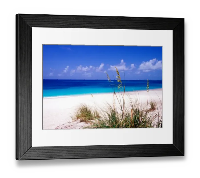 Framed Print : Sea oats, pink sand beach, Eleuthera Island, Bahamas Framed Print : Sea oats, pink sand beach, Eleuthera Island, Bahamas