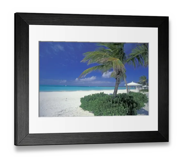 Framed Print : Bahamas, Long Island, Cape Santa Maria. Palms along the pristine beach Framed Print : Bahamas, Long Island, Cape Santa Maria. Palms along the pristine beach