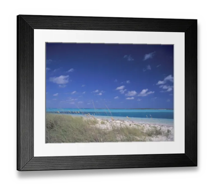 Framed Print : Caribbean, Bahamas. Sea Oats on beach Framed Print : Caribbean, Bahamas. Sea Oats on beach