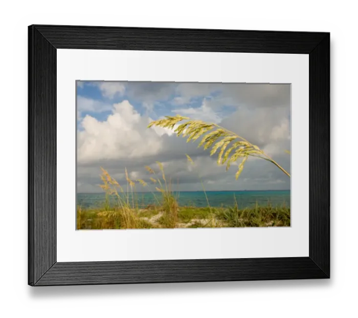 Framed Print : Beaches of Bimini, Bimini, Bahamas Framed Print : Beaches of Bimini, Bimini, Bahamas