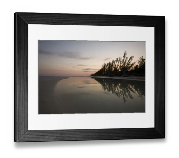 Framed Print : Bahamas, Grand Bahama Island, Lucaya National Park, Setting sun silhouettes forest
