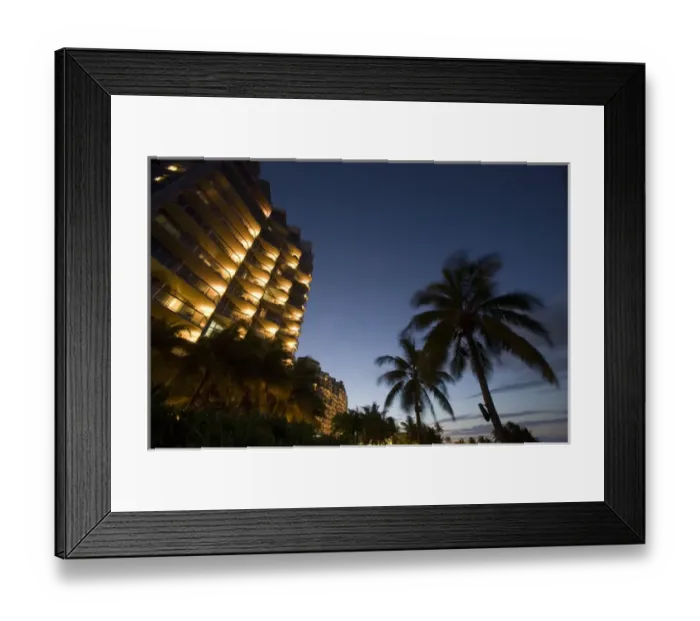 Framed Print : Bahamas, New Providence Island, Palm trees along beach at Wyndham Crystal Palace Framed Print : Bahamas, New Providence Island, Palm trees along beach at Wyndham Crystal Palace