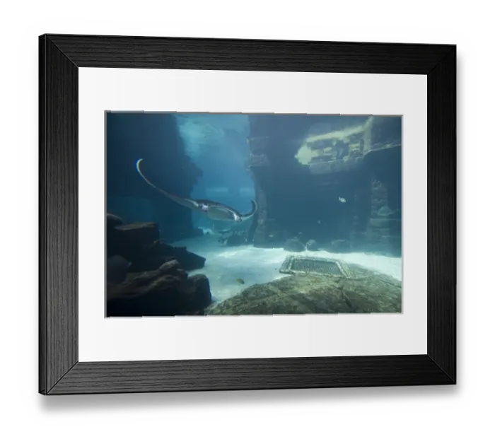 Framed Print : Bahamas, Paradise Island, Nassau, Aquarium inside Atlantis Resort Framed Print : Bahamas, Paradise Island, Nassau, Aquarium inside Atlantis Resort