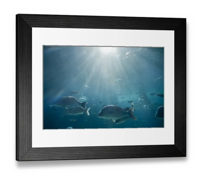 Framed Print : Bahamas, Paradise Island, Nassau, Aquarium inside Atlantis Resort
