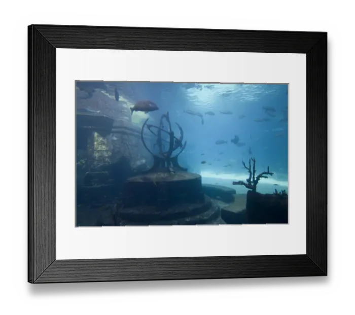 Framed Print : Bahamas, Paradise Island, Nassau, Aquarium inside Atlantis Resort Framed Print : Bahamas, Paradise Island, Nassau, Aquarium inside Atlantis Resort