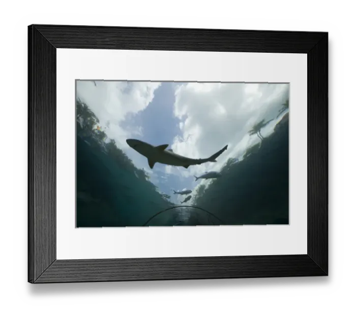Framed Print : Bahamas, Paradise Island, Nassau, Aquarium inside Atlantis Resort Framed Print : Bahamas, Paradise Island, Nassau, Aquarium inside Atlantis Resort