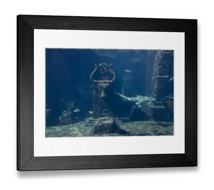 Framed Print : Bahamas, Paradise Island, Nassau, Aquarium inside Atlantis Resort