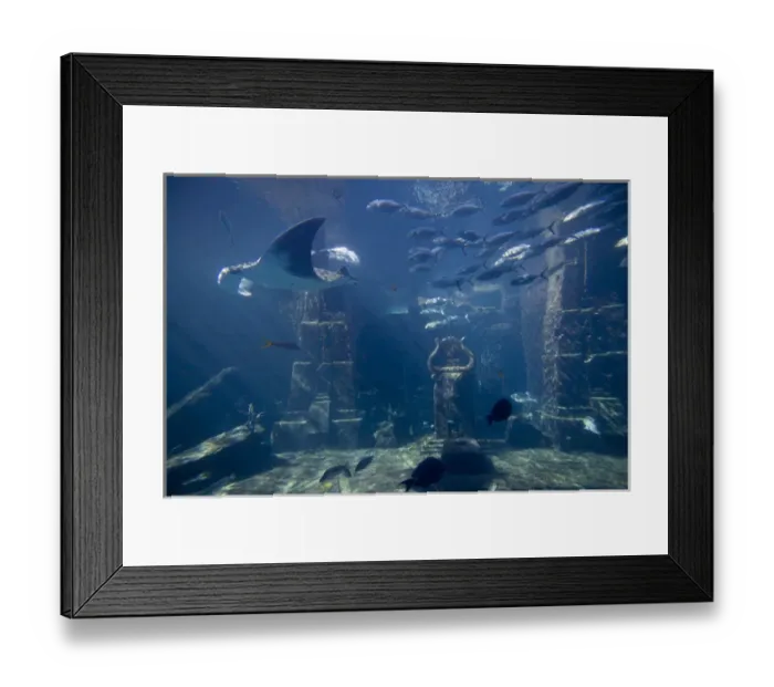 Framed Print : Bahamas, Paradise Island, Nassau, Aquarium inside Atlantis Resort Framed Print : Bahamas, Paradise Island, Nassau, Aquarium inside Atlantis Resort